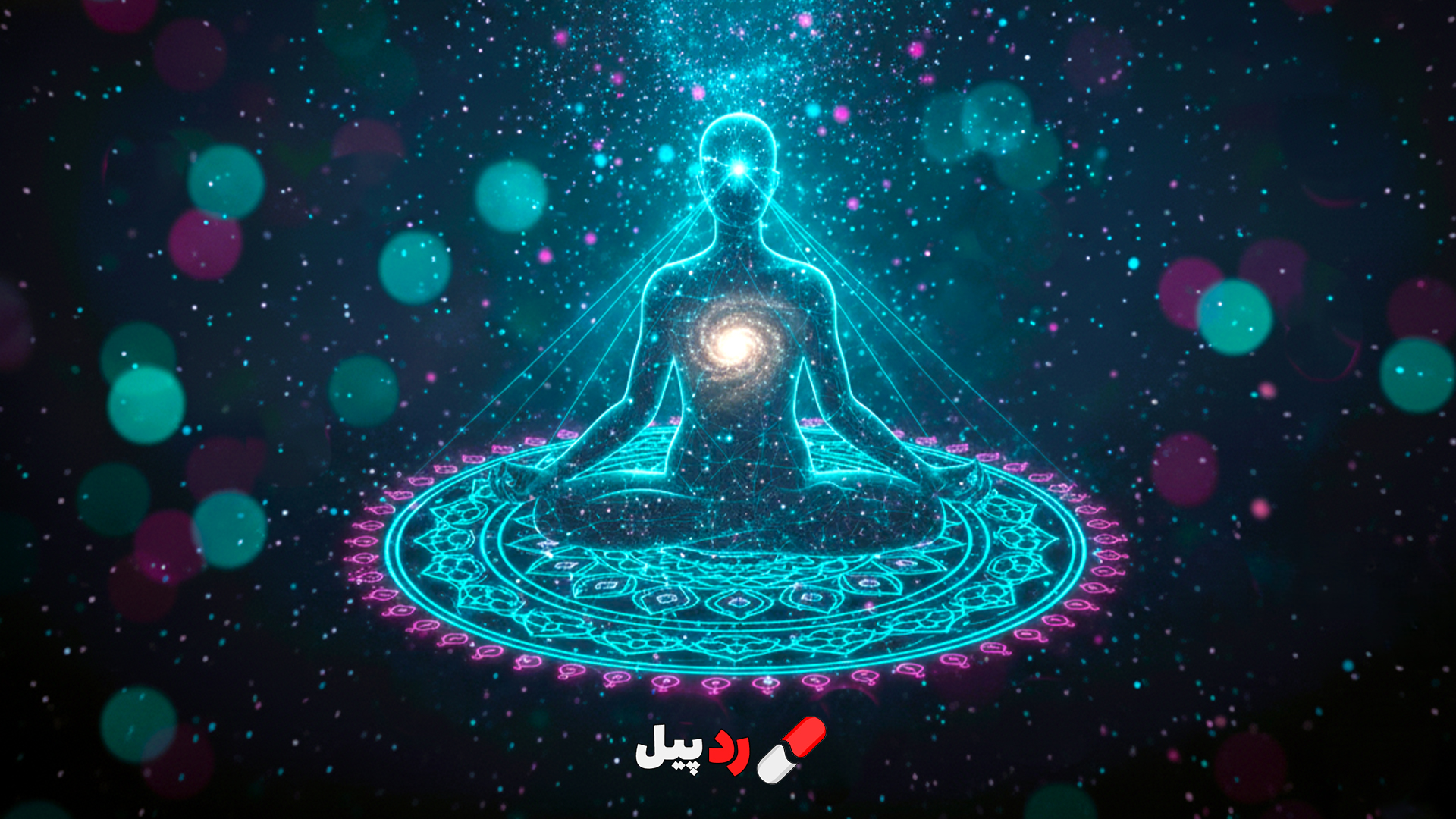 زندگی در لحظه حال